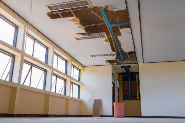 Best Professional water damage repair  in Cornell, WI