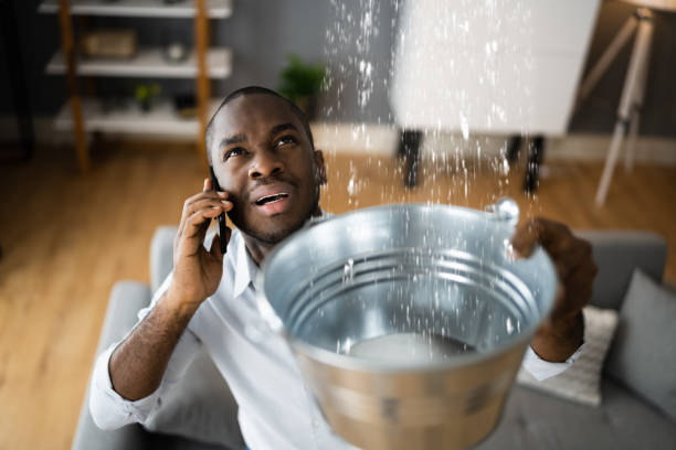 Best Fire Damage Restoration  in Cornell, WI