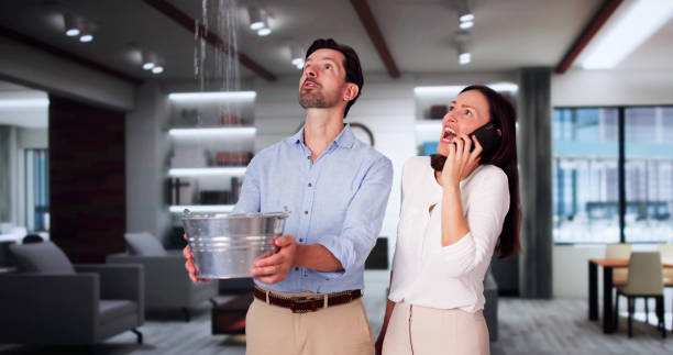 Best Mold removal after water damage  in Cornell, WI