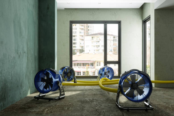 Best Flood restoration services  in Cornell, WI